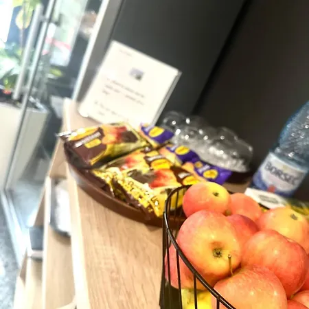 酒店 加布里埃拉旅馆 布加勒斯特