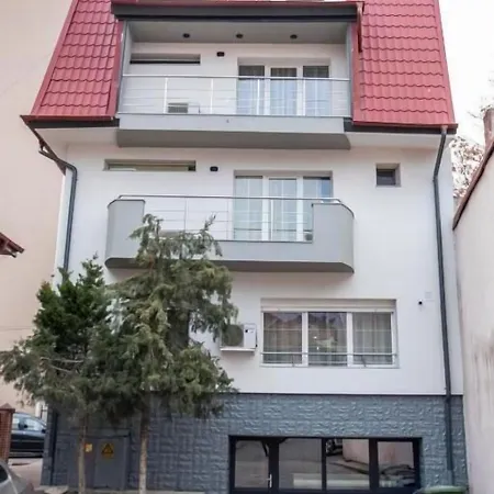 Turistica Casa Gabriela 3* 부쿠레슈티