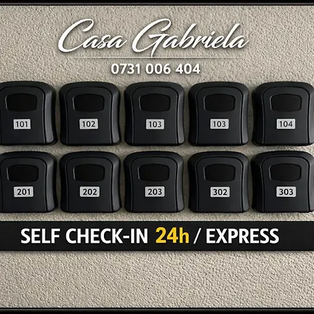 Turistica Casa Gabriela 酒店 3*