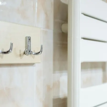 酒店 加布里埃拉旅馆 3*