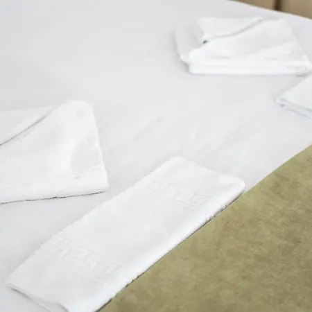 酒店 加布里埃拉旅馆 布加勒斯特