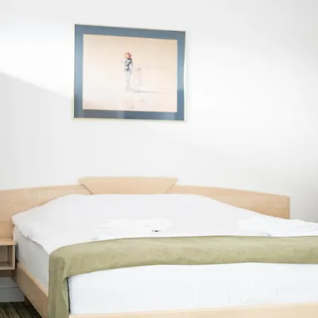 Otel Turistica Casa Gabriela