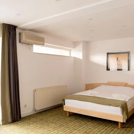 Turistica Casa Gabriela Otel 3*