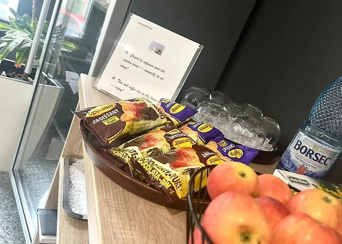 Ξενοδοχείο Turistica Casa Gabriela Βουκουρέστι