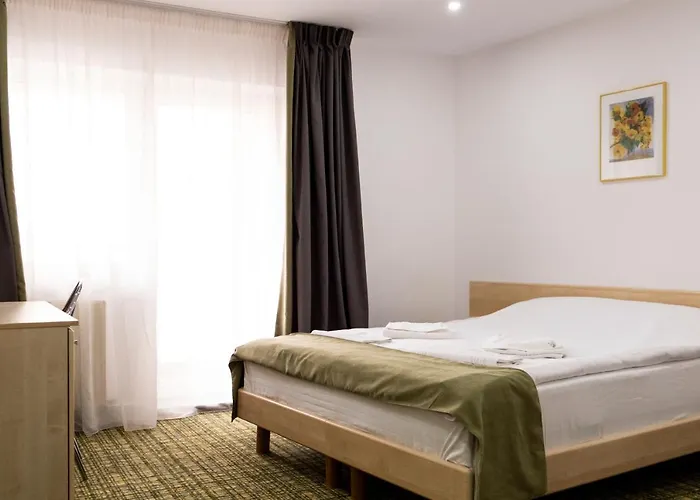 Turistica Casa Gabriela ホテル 3*