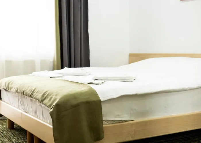 ホテル Turistica Casa Gabriela 3*