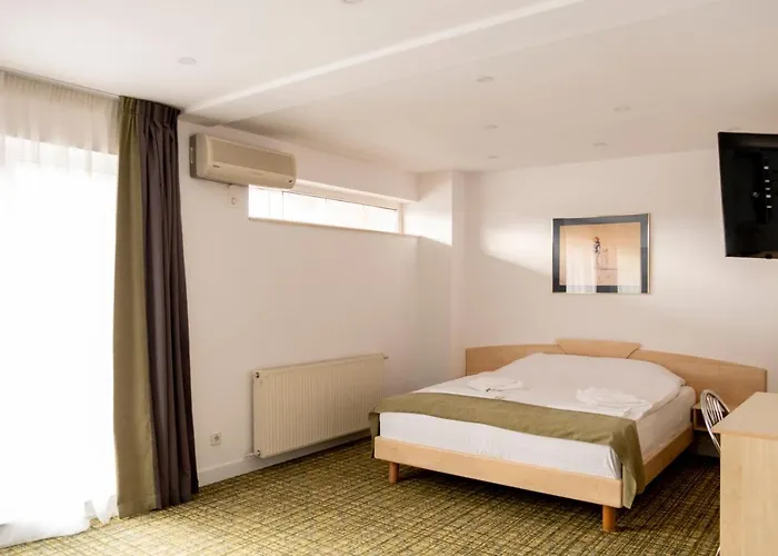 Turistica Casa Gabriela ホテル 3*