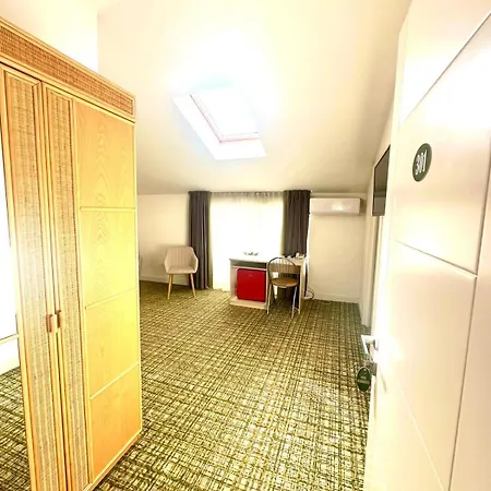 Hotel Turistica Casa Gabriela