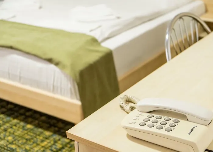 Hotel Casa Gabriela Bucarest