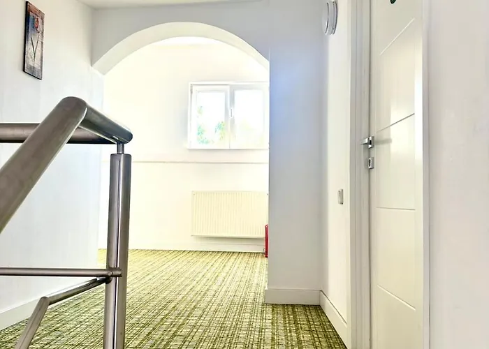 ホテル Turistica Casa Gabriela 3*