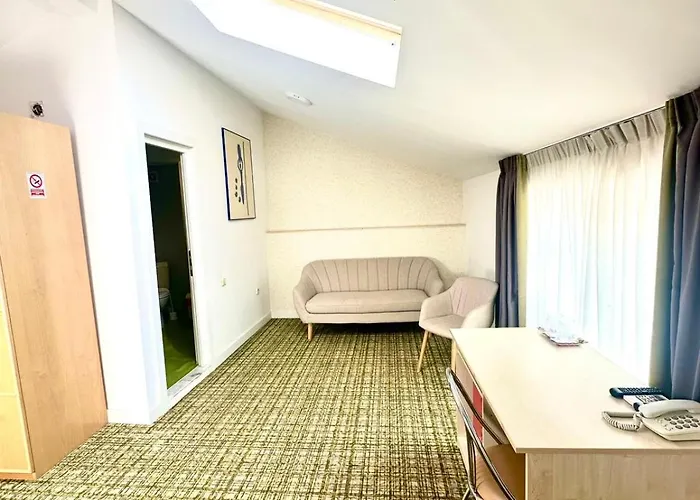 Otel Turistica Casa Gabriela 3*